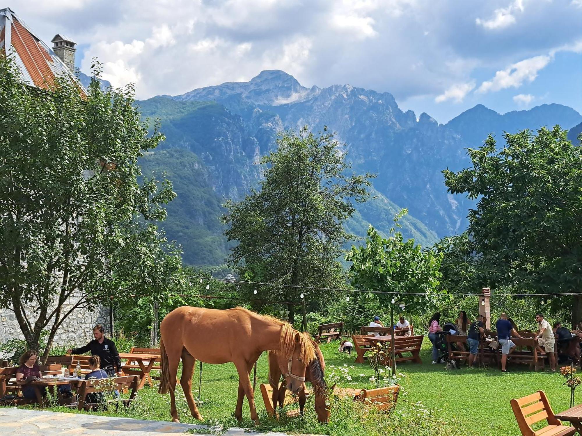 Villa Gjecaj Guesthouse And Restaurant Theth Exterior foto